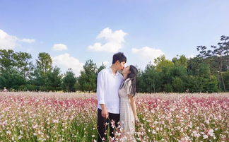 断联来挽回对方，怎样断联可以挽回爱情