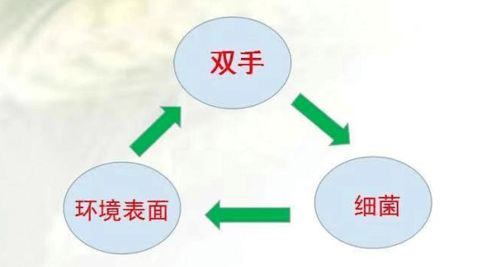 挽回关系的步骤图,挽回关系：步骤图演示