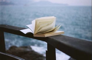 挽回友谊说说很现实,友谊如何挽回，真实经历分享