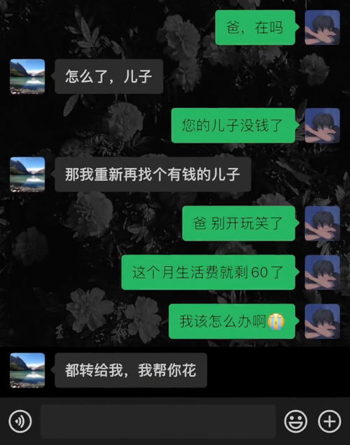 沙雕挽回视频大全,沙雕视频集锦：挽回前任大作战