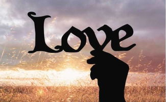 打同情牌可以挽回吗，同情心能否挽回感情？