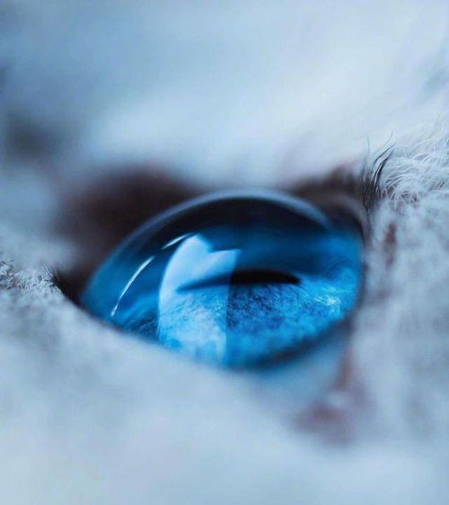 分手不再挽回的星座,十二星座不可挽回的分手