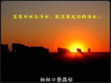 挽回成功之后的感慨,成功挽回后的感言)