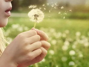 挽回之后不想爱了,失去信心：挽回后仍无法重新爱上