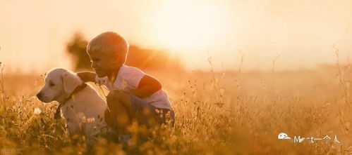 梦到自己挽回了错误,成功挽回错误，梦境成真