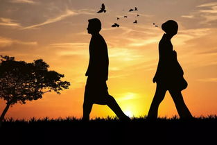 要如何才能挽回婚姻,如何成功挽救婚姻？