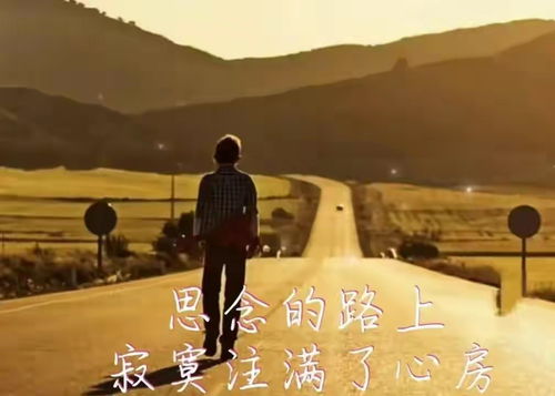 无力挽回写给谁的,挽回已无可能，告别难忘。