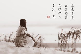 表达想挽回诗句古诗，愁闲江上词，试重写古诗为标题