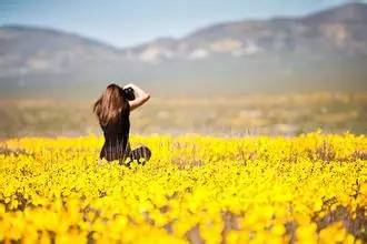 努力挽回无怨无悔,挽回失去的爱意，无怨无悔