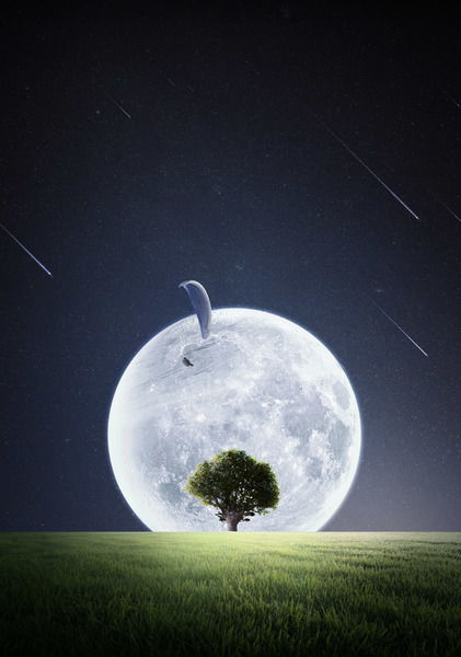 月亮射手男怎么挽回,如何挽回月亮射手男？