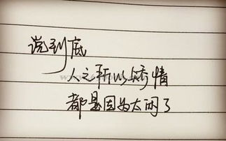 道歉挽回爱情的歌曲,挽回爱情的悔过之歌