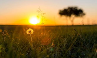 挽回巨蟹男生日记,挽回巨蟹男的实践经验